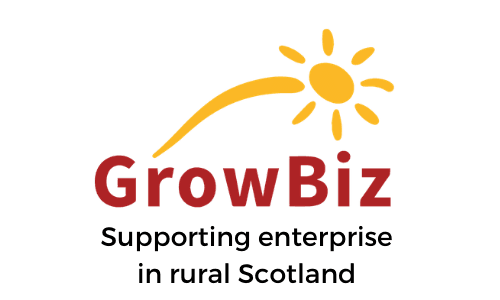 MEMBER NEWS: GrowBiz Celebrates National Mentoring Day with Call Out for Volunteer Mentors